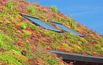 New Park living roof systems