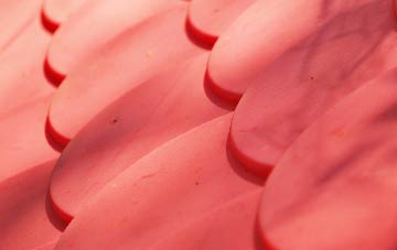 New Park plastic roof costs